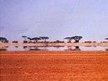 Mirage