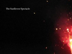 Image for The Sunflower Spectacle