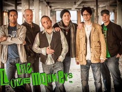 Image for LoveMonkeys