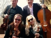 Aphrodite Strings