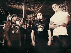 Image for Misguided Aggression