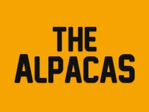 The Alpacas