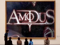 Amodus