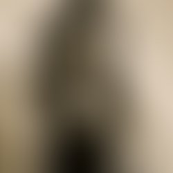 1399393021 dilynda music opt 1