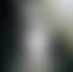 Prinzestylezartworkwork