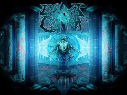 Image for Enslave The Creation