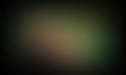 Holly and the byrd rn profile