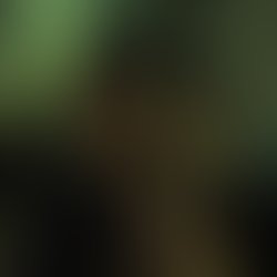 1413524582 smoking small