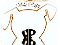 Wild Puppy