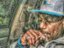 Chub aka YungDude (Artist)