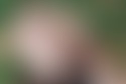 1451420621 img 0419
