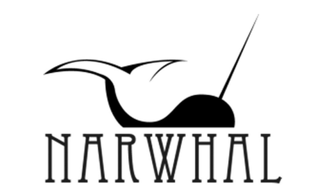 ReverbNation profile picture for @narwhal