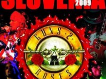 Guns 2 Roses