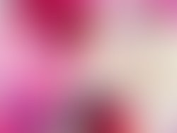 14079597 595226057303676 8070631551231908897 n