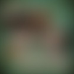 1438587640 artist 4176590 1438587615