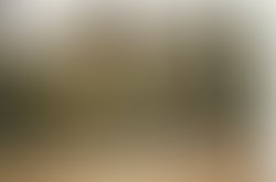 Artist 4183504 1467837078