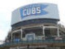 Chicago Cubs Fan