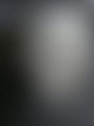 Cohorts accomplices cover