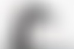 1401711015 nylea otto 0317facebook