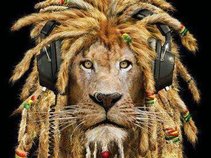 reggae_middlesbrough