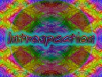 Introspection