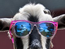 Captain Howdy and The Space Goats