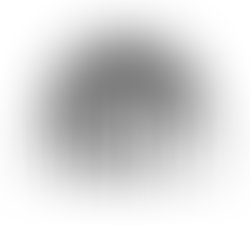 1417750369 protejlogo2012inverted