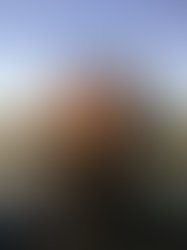 1402891497 bourbonaristocracyquartet20140614