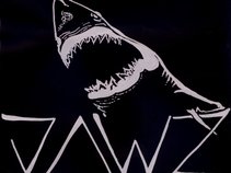 JAWZ