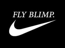FlyBlimp