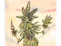 Drugged Up Strippers