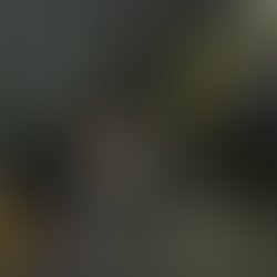 Img 20170806 092415 731