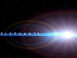 ReverbNation profile picture for @elephants