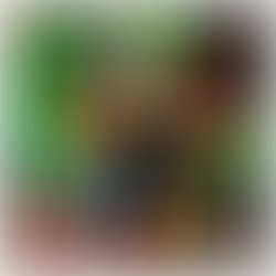 1363015758 chris nekvinda at tbc