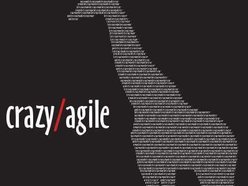 Image for crazy/agile