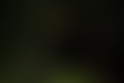 1405070537 886339048047039 6166083701689265019 o