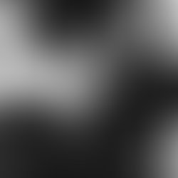 1403364307 1429463140648526 180370960343277575 n