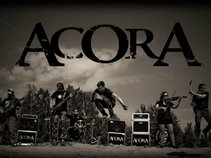 ACORA