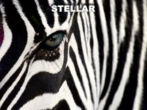 STELLAR