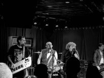 the Whiteouts