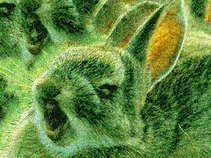 Mossrabbit