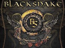 Blacksnake