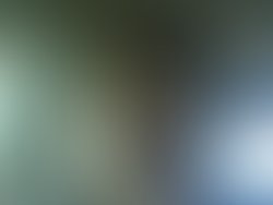 1404401565 artist 4259219 1404401539