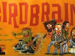 Image for Birdbrain