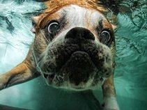 nice song for vocals