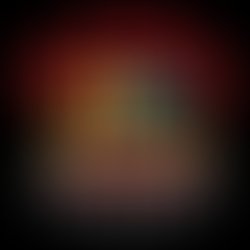 Berdoo 2025 new logo w