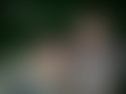 1304096760 reverb awaken cover