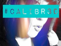 CALIBR3D