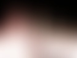 1450320661 img 4248  2 