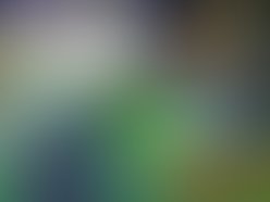 Hopeton overton brown scientist